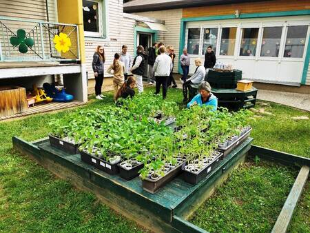 Zelenjavne sadike in projekt »Varno in spodbudno učno okolje« (8)